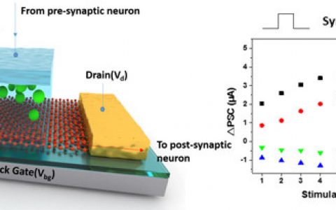 科学家首次实现可塑性可调的石墨烯类突触器件