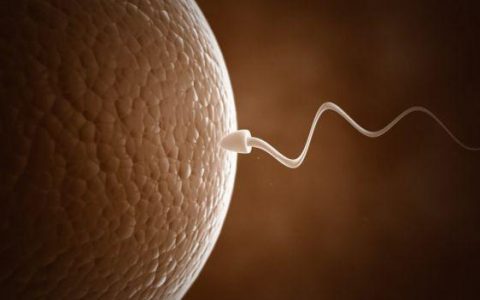 不孕不育症患者有救了