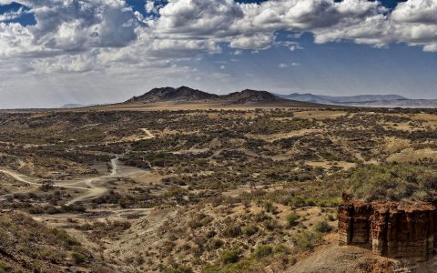 早期人类在坦桑尼亚是如何生存的