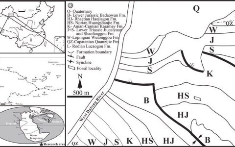 准噶尔盆地发现晚三叠世诺利期化石木材