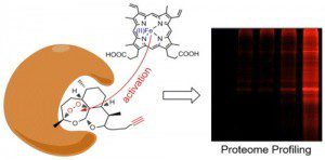 W020160216619715844999