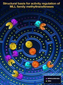 W020160219539949409406