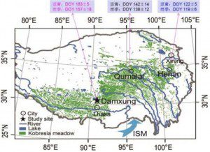 高山嵩草返青期和雨季开始日期均随经度增加而提前,约4天/度