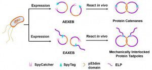 082e5f06ea86183e35b108