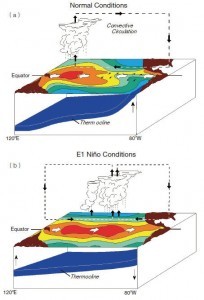 气候态（a）和厄尔尼诺事件发生时（b）赤道太平洋的海气状 态示意图