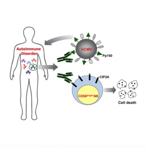 2c4138b2cf3f18559f6302