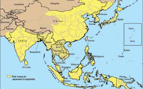 科学家发现乙型脑炎病毒传播机制