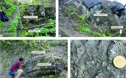 中国华南发现奥陶纪末间冰期沉积物证据