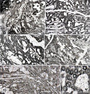 W020160307353777543830