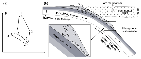 图4 榴辉岩在俯冲隧道内做多期俯冲-折返循环的示意图