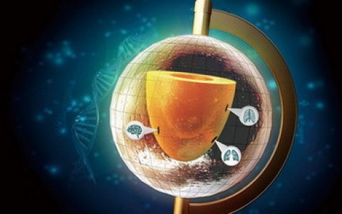 科学家建立小鼠早期胚胎空间转录组图谱