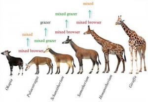 W020160324607121541637