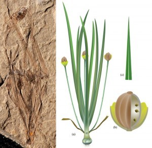 W020160325321869052167