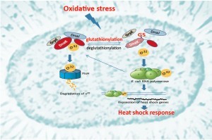 W020160329428057298700