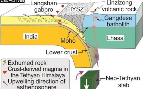 新特提斯洋板片拆离发生于四千五百万年前