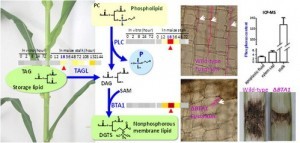 W020160331648658592995