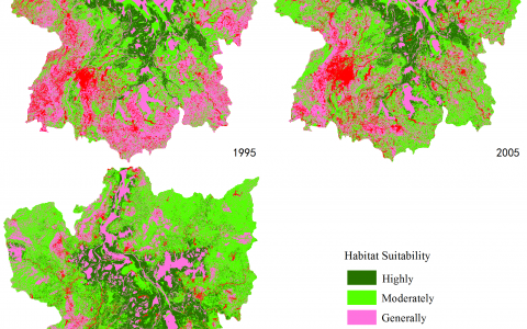 鄱阳湖湿地适宜水禽栖息越冬吗?
