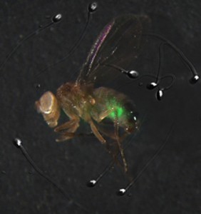 e16bd2c8-85c7-4aeb-947a-a02b7c811b91