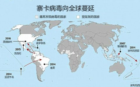 实验证明：巴西寨卡病毒垂直传播影响子代脑发育