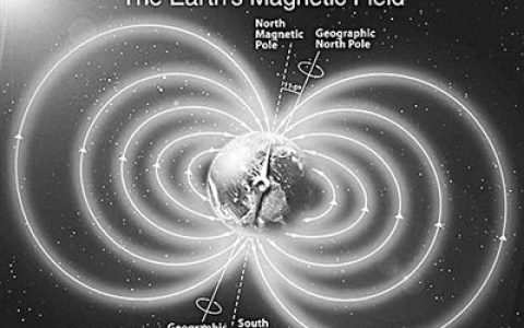 二维全球混合模拟