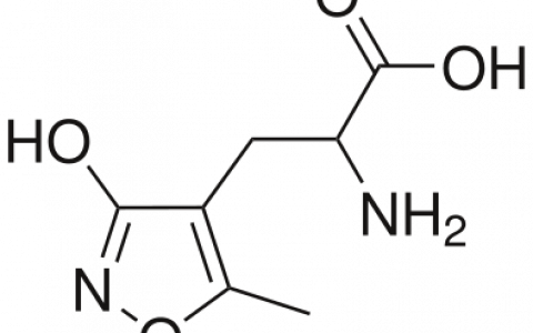 中国科学家揭示调节AMPA受体功能的重要蛋白