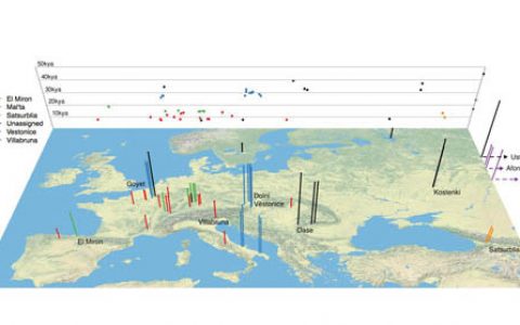 中外科学家绘制冰河时代欧亚人群的遗传谱图