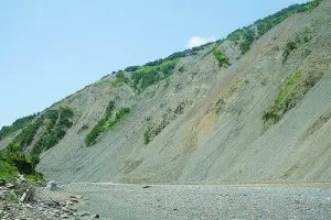 2008 年汶川地震造成的成片滑坡