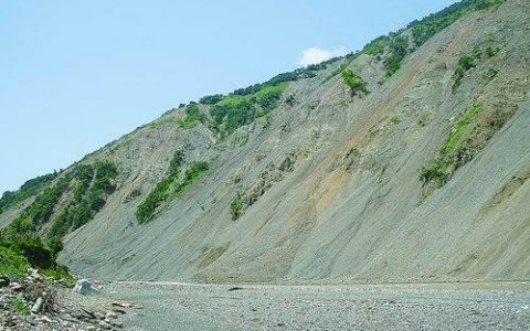 汶川地震滑坡中的有机质去哪了