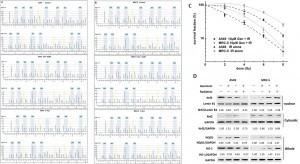 W020160524573414611689