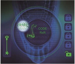 植物小肽激素识别密码