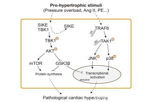 3056B1BB272BE91BE506A9E4A1D_8E02E0B3_6622