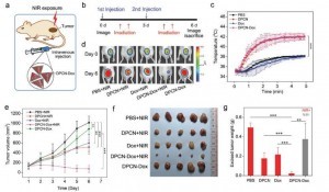多功能诊疗一体化的纳米材料并用于多模态影像指导的光热-化疗联合治疗肿瘤