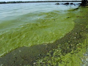 B9318433536Z.1_20150812163153_000_GEBBK15DD.1-0