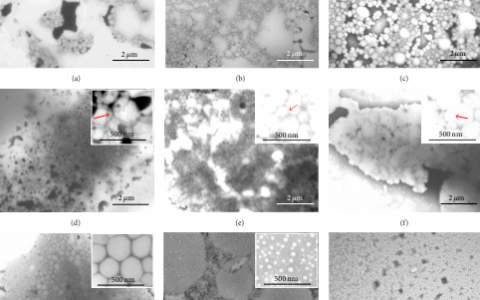 芬太尼和丙泊酚混合制剂的镇痛镇静以及毒性作用。