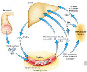 QQ图片20160621103537