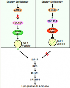 QQ图片20160621104934