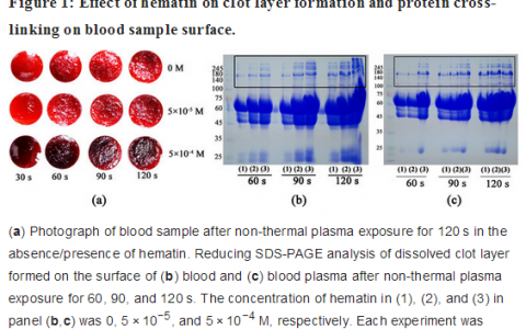低温等离子体促凝血重要机制
