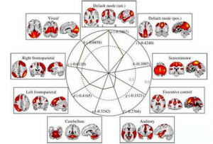 QQ图片20160621111745