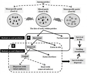 W020160603448299886138
