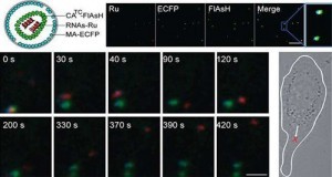 W020160609546905714271