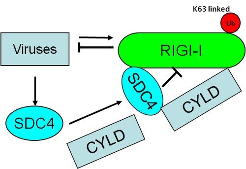 W020160614588971705895
