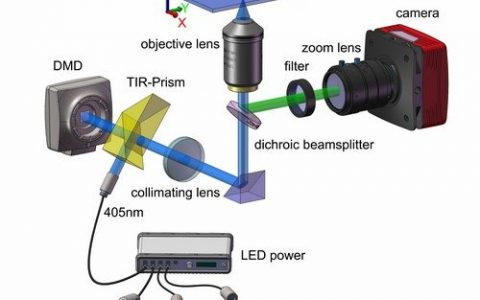 三维层析成像技术快速获取高分辨率微小动物影像
