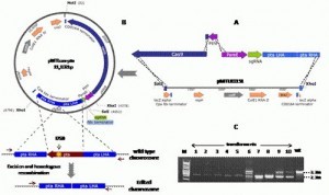 W020160623628075798428