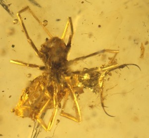 W020160627512329307068