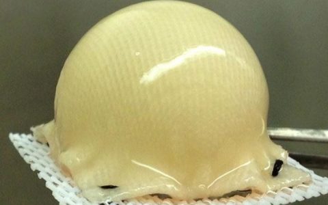 PNAS：具有抗炎作用的干细胞定制3D打印软骨
