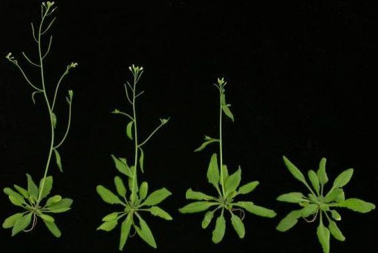 W020100825501823216495