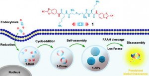 W020160701565159138301