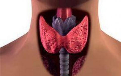 BMJ：甲状腺癌治疗后的影像学检查可能不会提高患者生存率