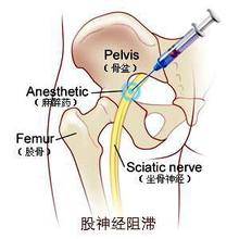 u=3085666713,3740420746&fm=21&gp=0