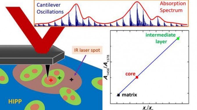 AFM-IR定量分析HIPP微相区组成示意图
